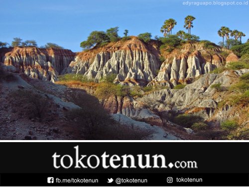 pulau penghasil kain tenun sabu raijua NTT