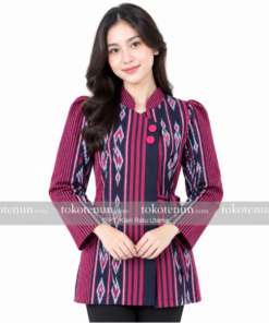 Dhifa Blouse Series FA376A